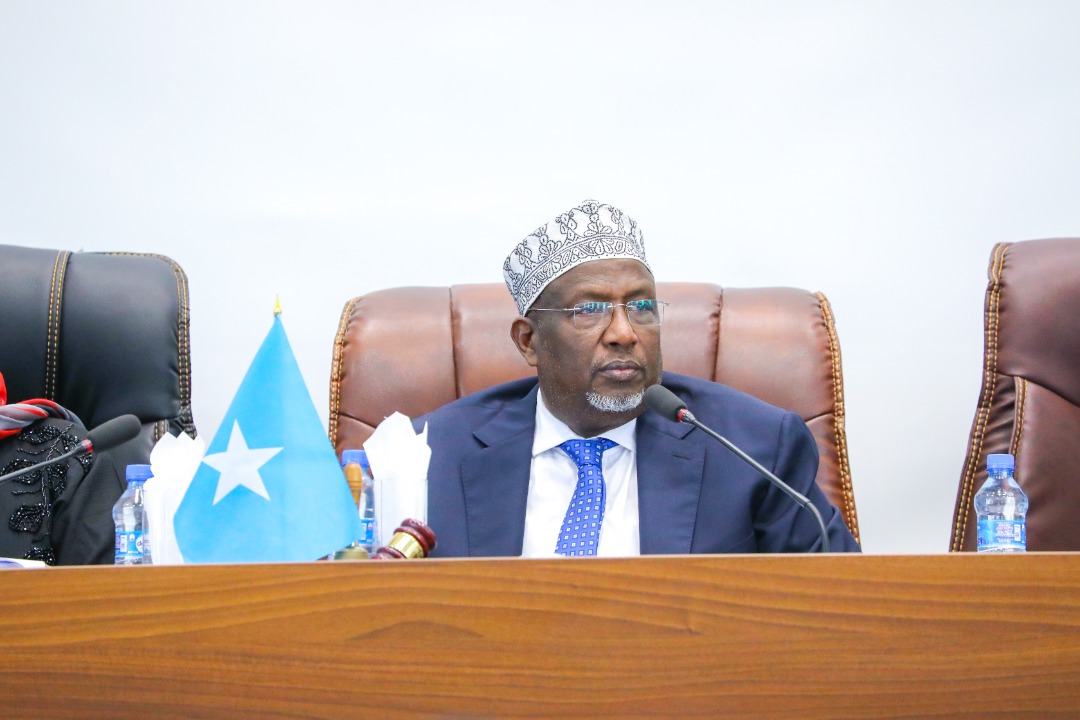 The Speaker of the Somali Parliament Appointed 14 Committees