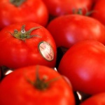 What makes tomatoes cheap during this market recession.