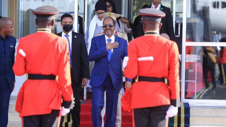 Somalia's President Hassan Sheikh Mohamud in Tanzania for the EAC heads of State Summit. PHOTO | VILLA SOMALIA